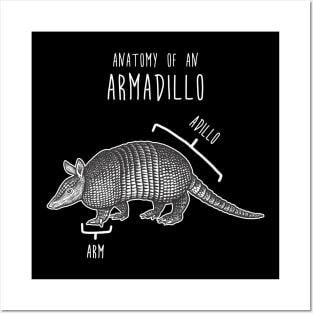 Armadillo Animal Anatomy Posters and Art